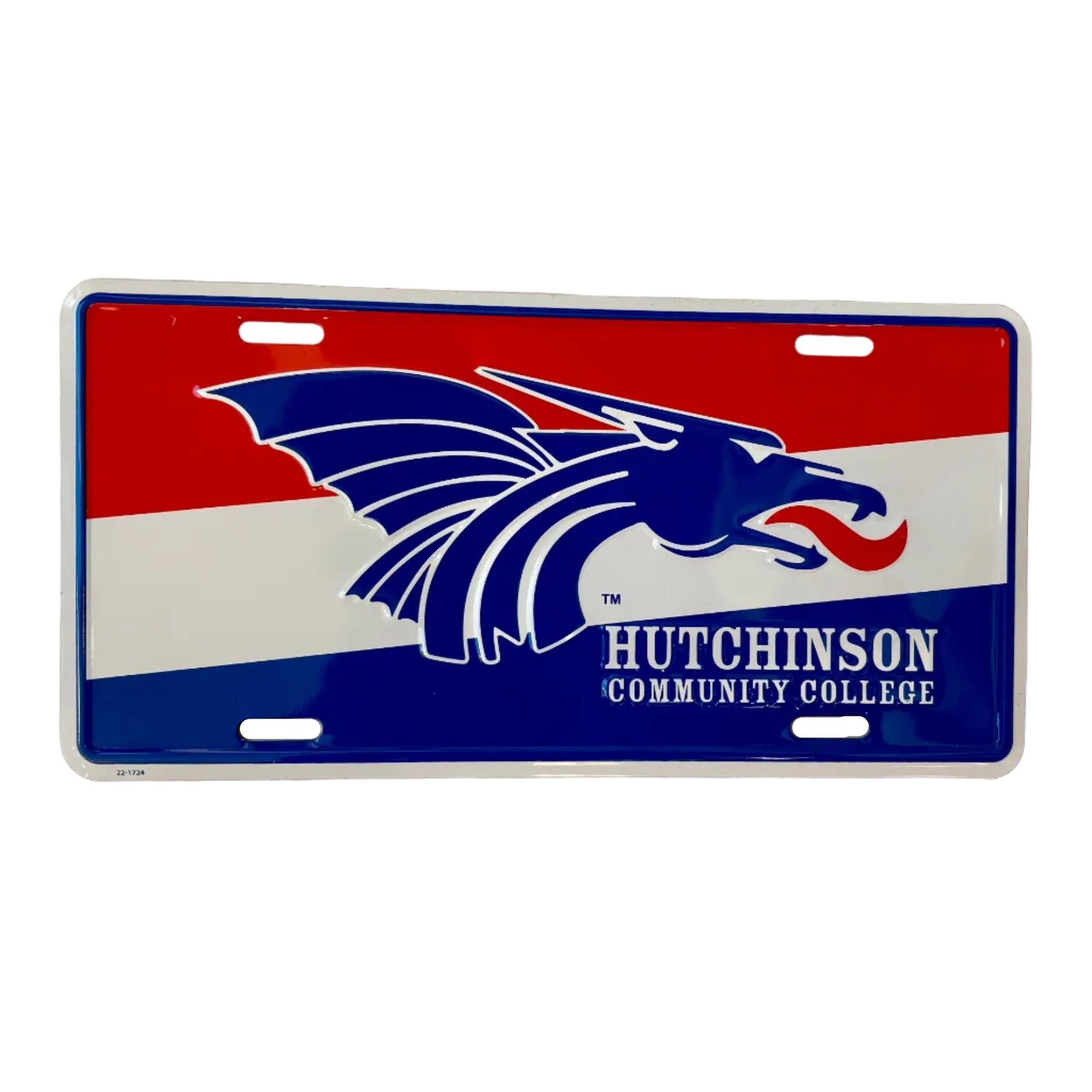 Power Dragon Metal License Plate