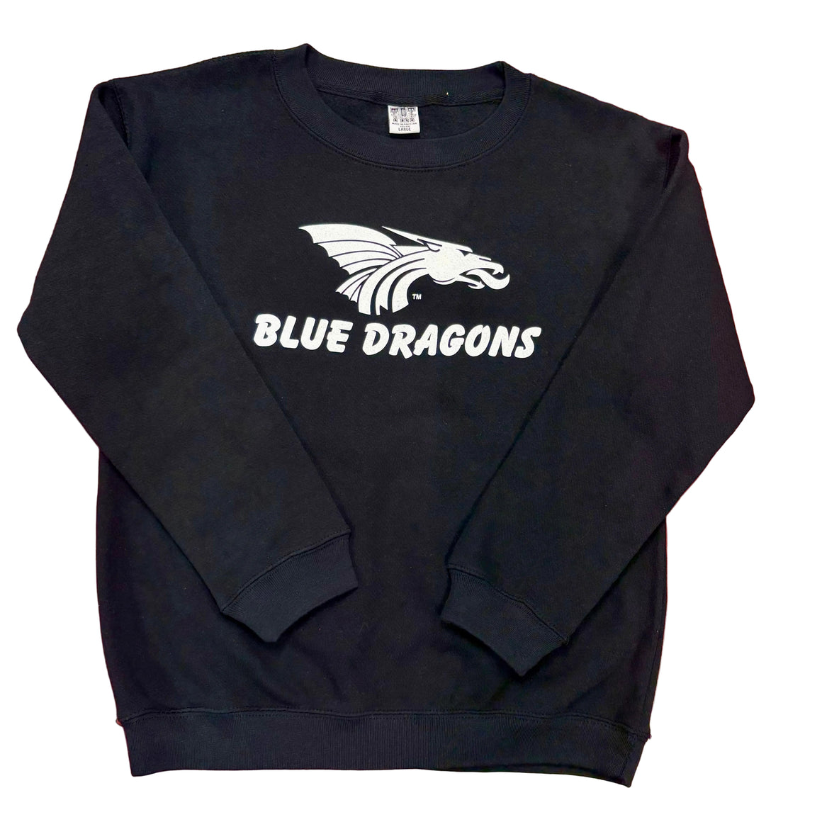 Children's Power Dragon Crewneck Sweatshirt- Black