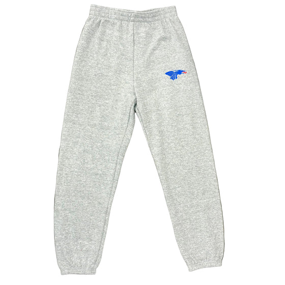 Power Dragon Kids Sweatpants- Gray