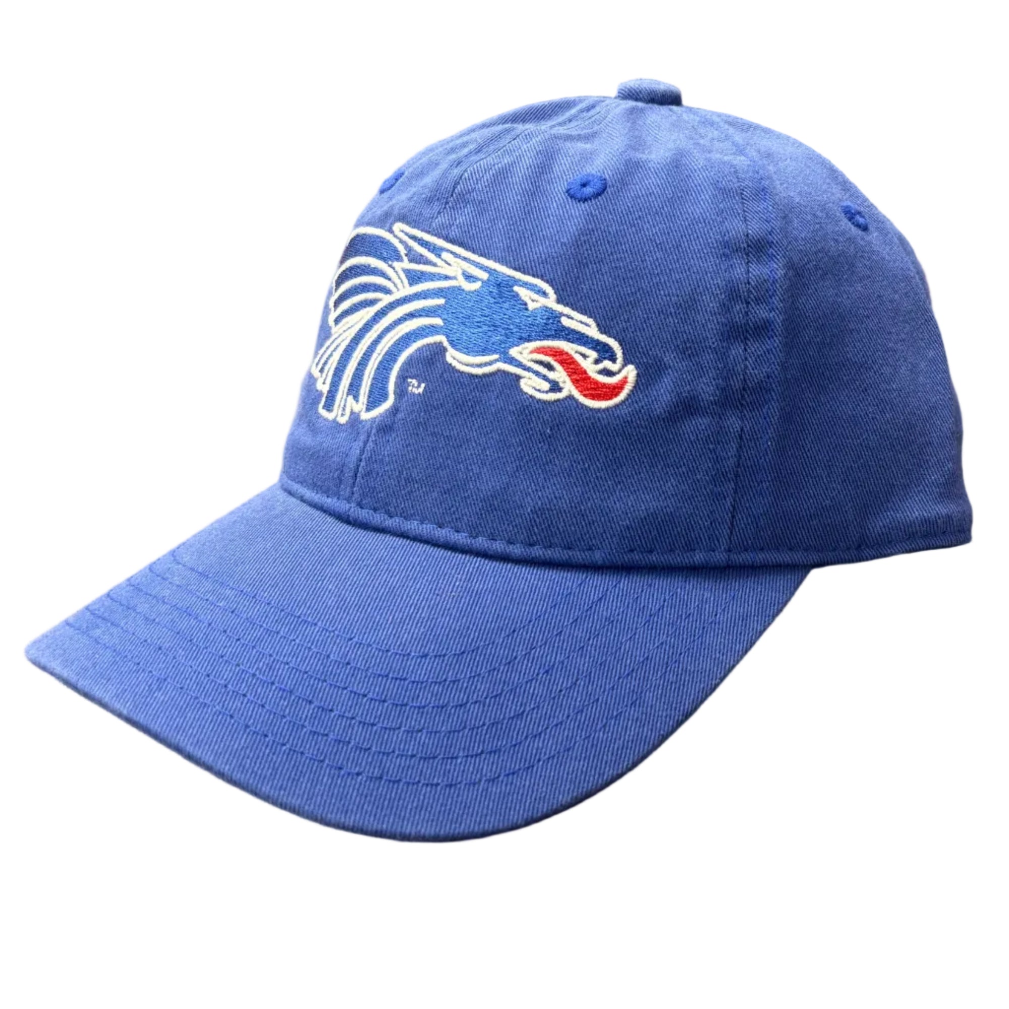 Youth Power Dragon Adjustable Hat- Blue