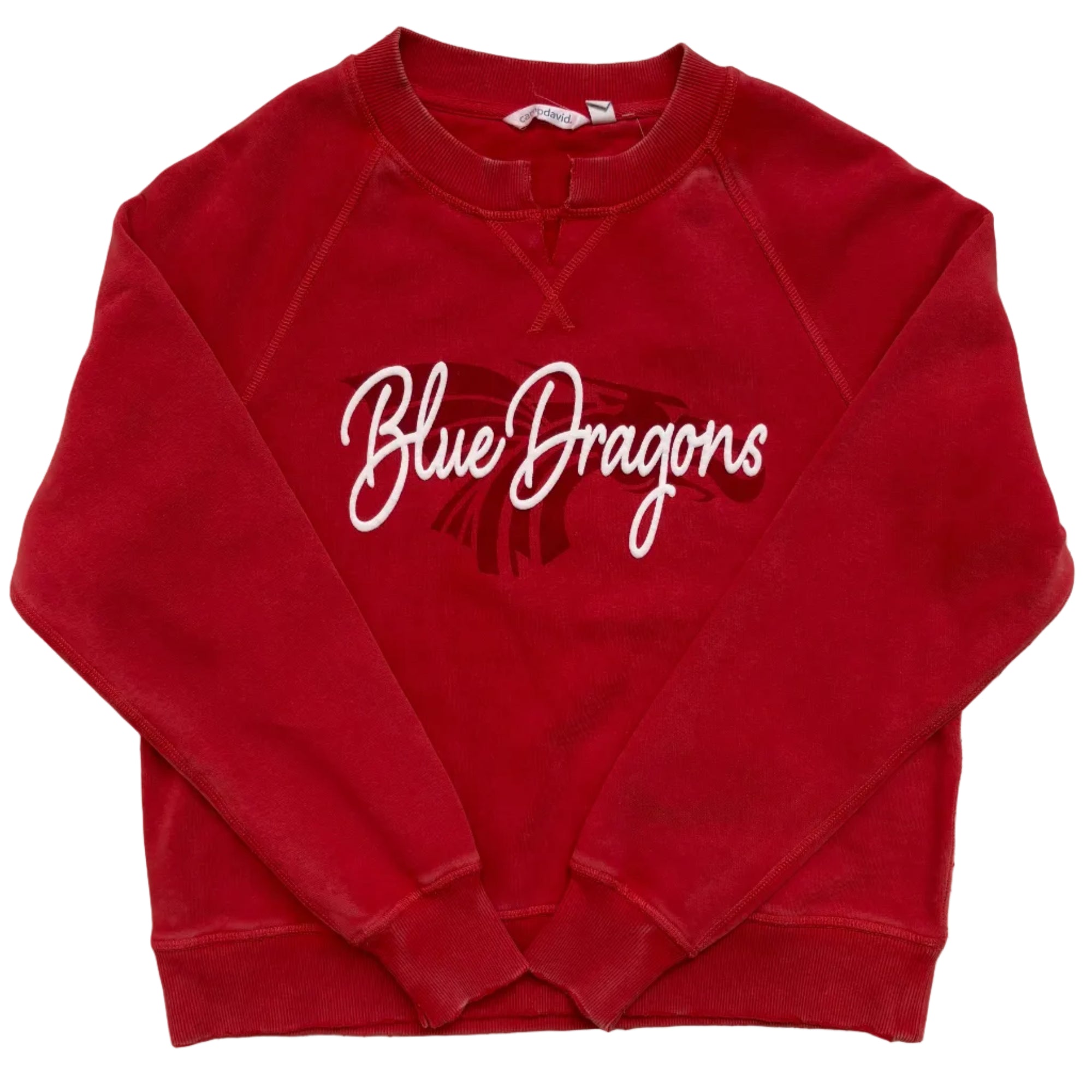 Women's Puff Print V-Neck Power Dragon Crew- Baby Blue or Light Red