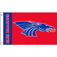 Power Dragon Collegiate Out Door Flag